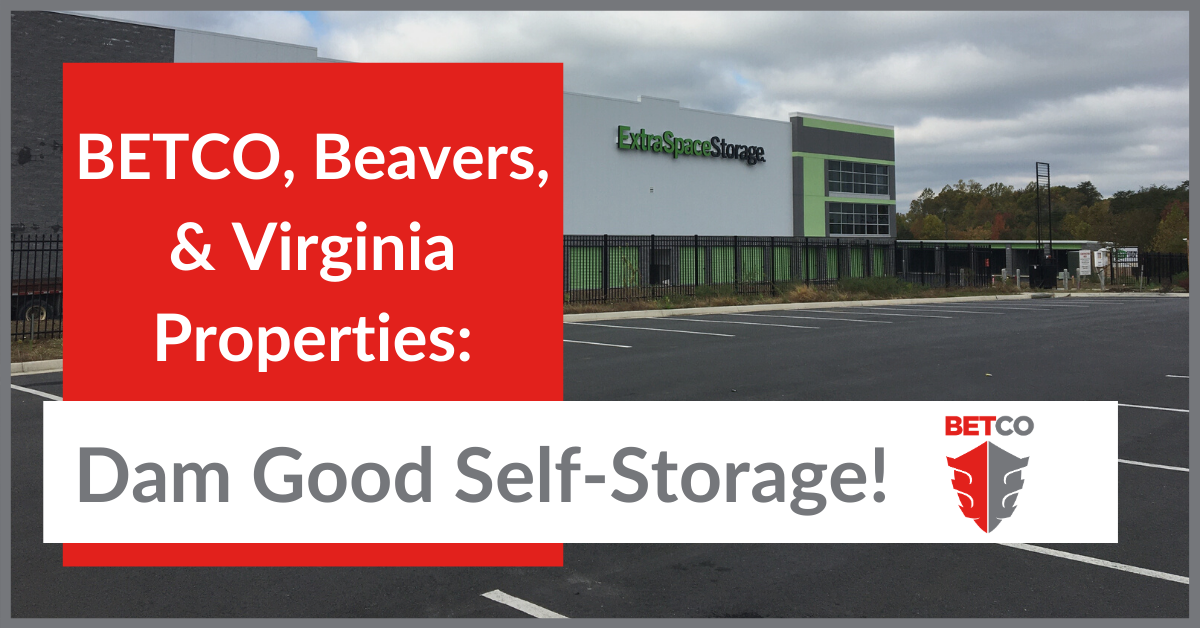 BETCO, Beavers & Virginia Properties: Dam Good Self-Storage